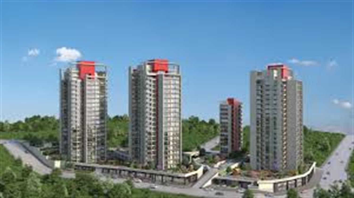 Project image 19
