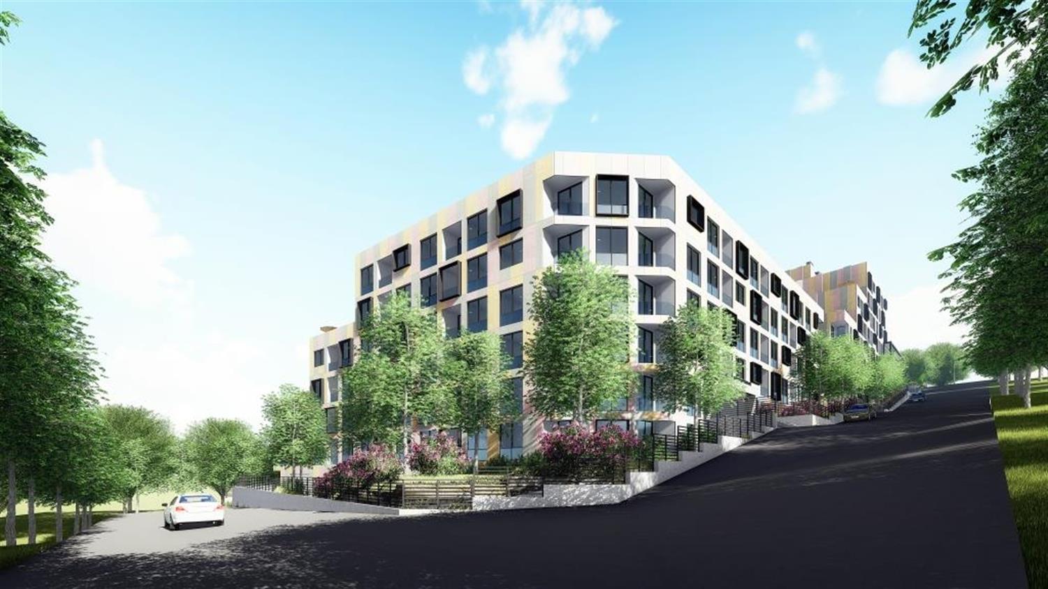 Project image 11