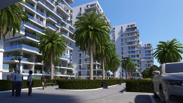 Project image 19