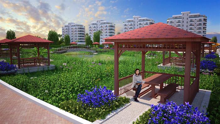 Project image 15