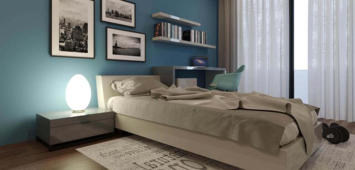 Project image 13