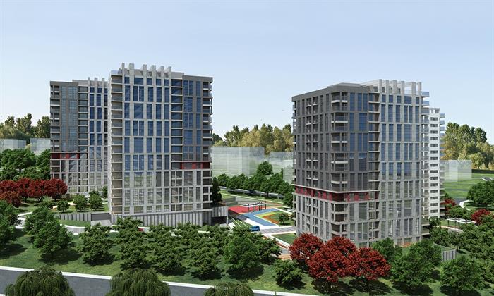 Project image 13
