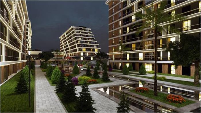 Project image 9