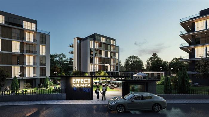 Project image 11