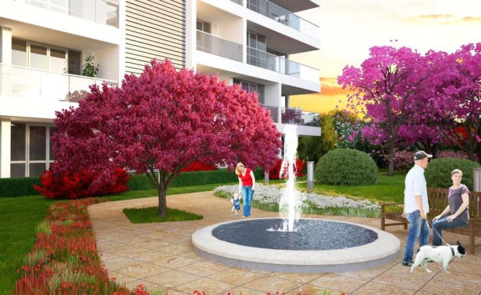 Project image 19