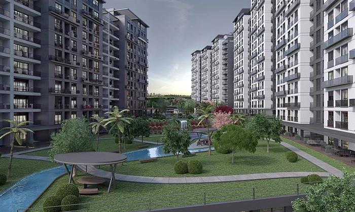 Project image 15
