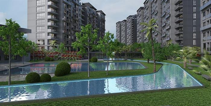 Project image 13