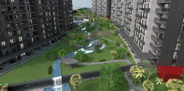 Project image 11