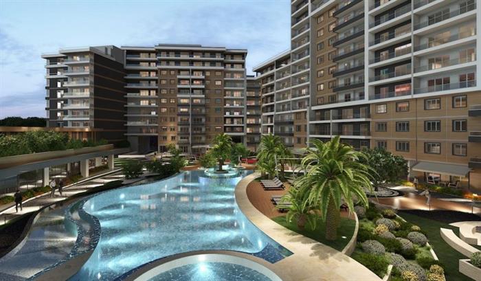 Project image 13