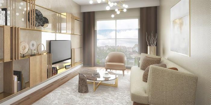 Project image 15