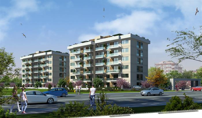 Project image 13