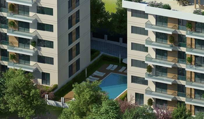 Project image 15