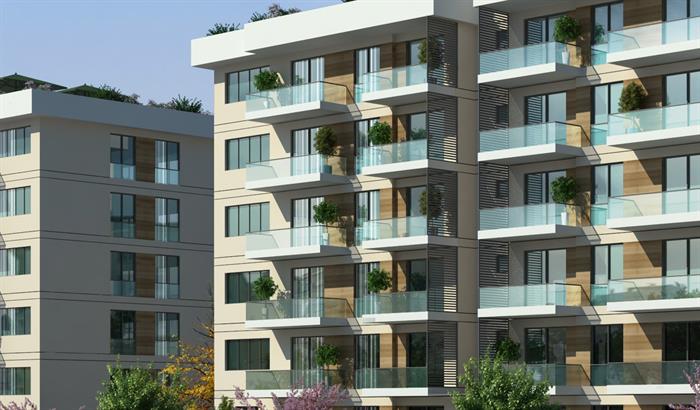 Project image 19