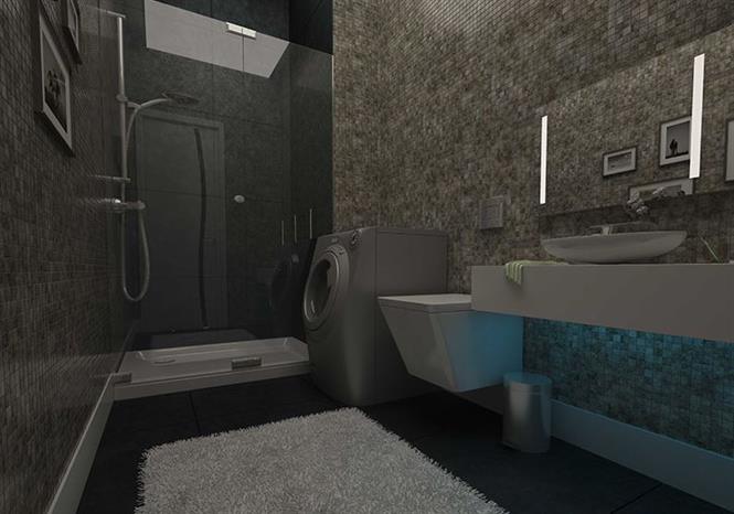 Project image 15
