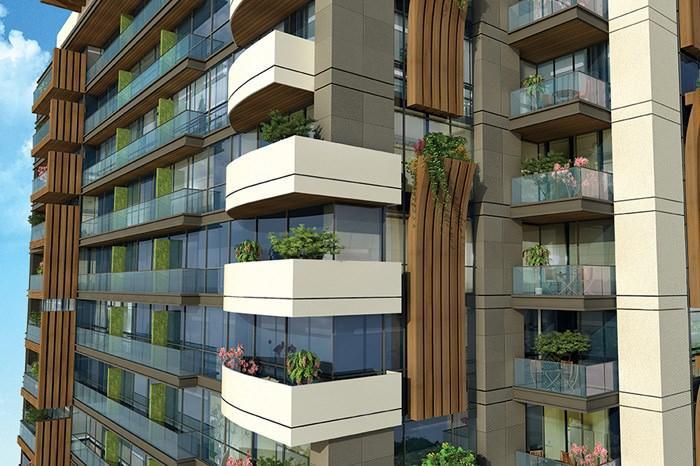 Project image 19