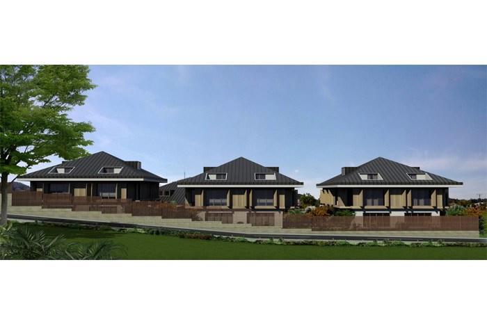 Project image 11