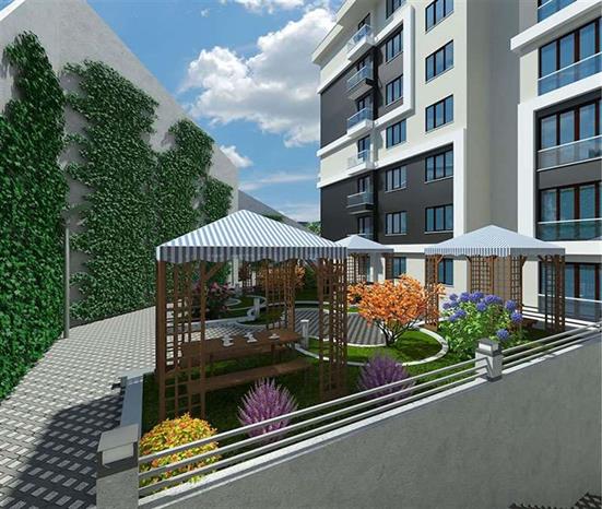 Project image 11