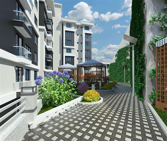 Project image 13