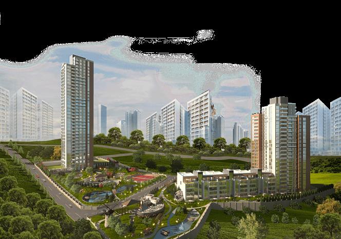 Project image 11