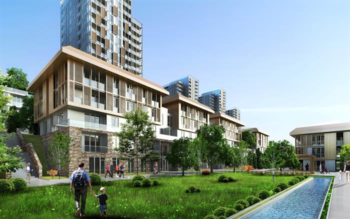 Project image 9