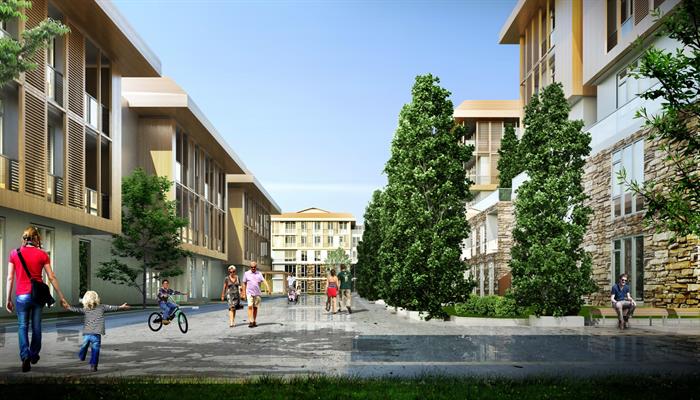 Project image 13
