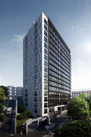 Project image 15