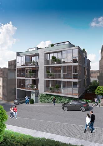 Project image 11
