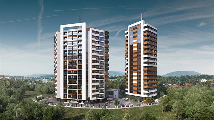 Project image 9