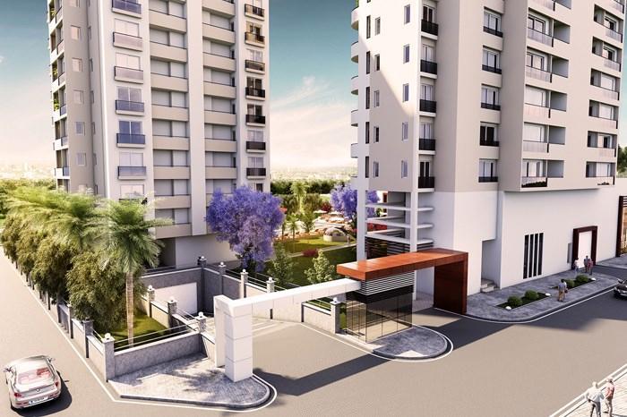 Project image 15