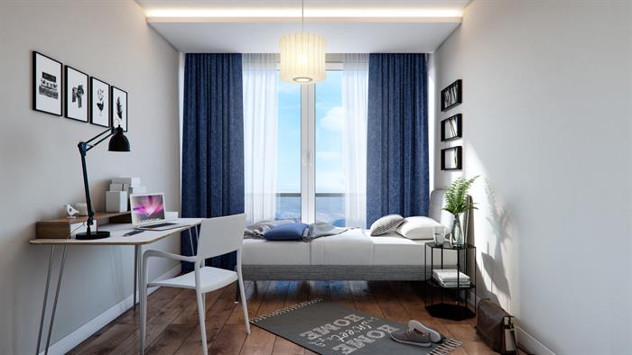 Project image 9