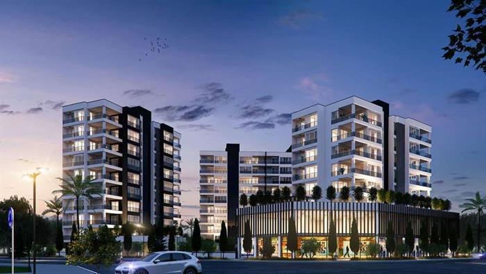 Project image 13