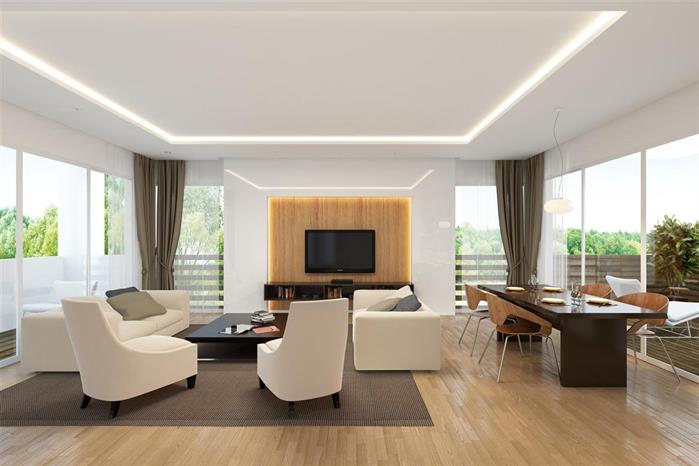 Project image 19