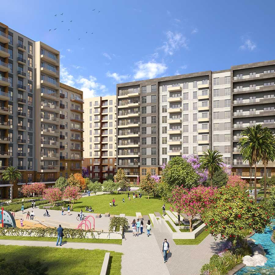 Project image 15