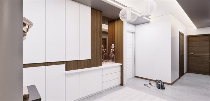 Project image 13