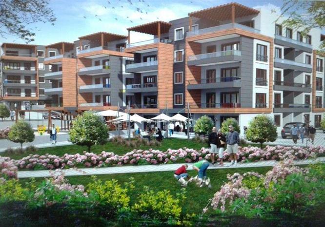 Project image 13