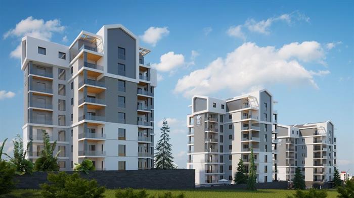 Project image 13