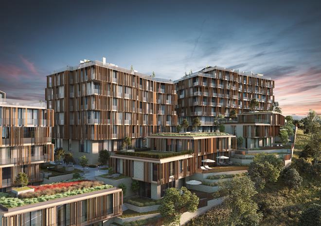 Project image 11