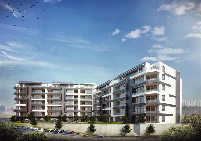 Project image 13