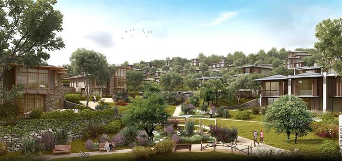 Project image 9