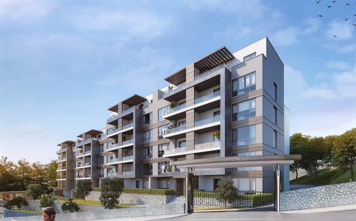 Project image 13