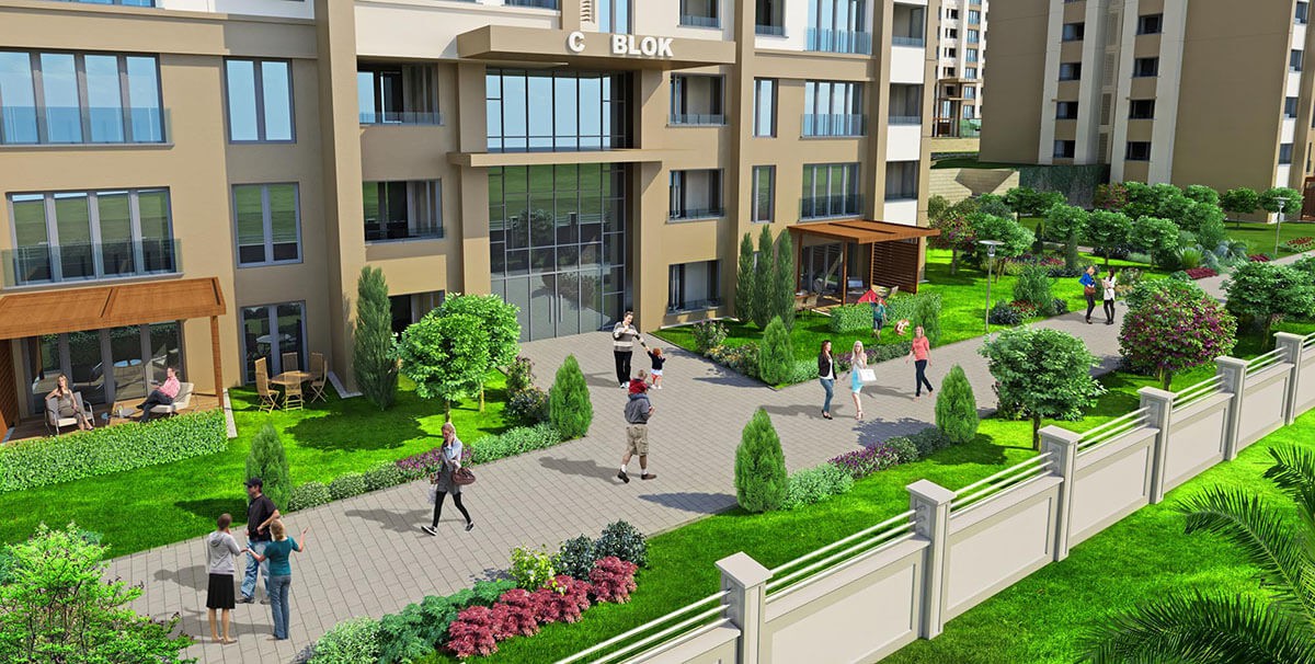 Project image 13