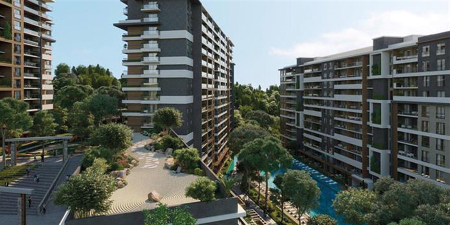 Project image 12