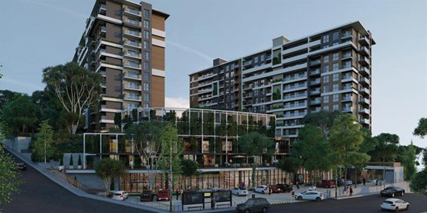 Project image 10
