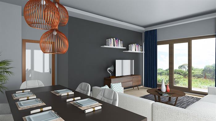 Project image 12