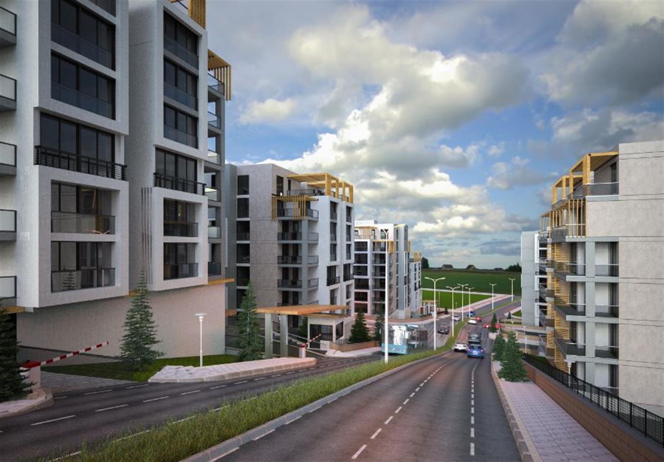 Project image 9