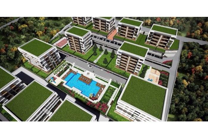 Project image 9