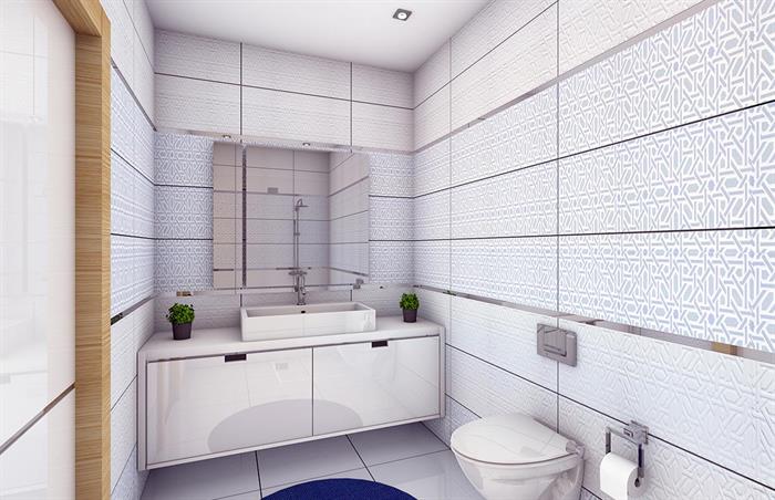 Project image 11
