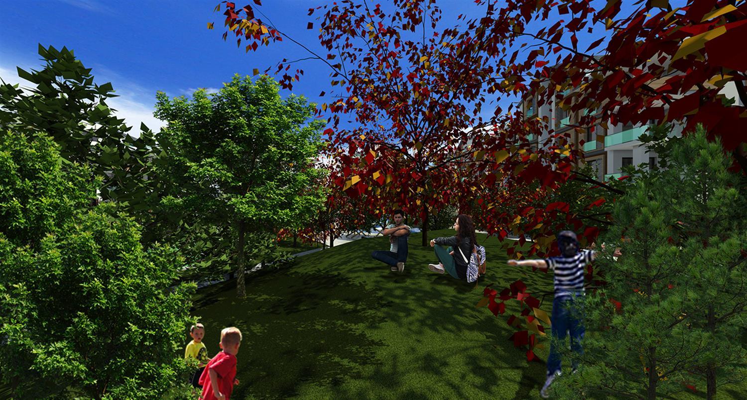 Project image 13