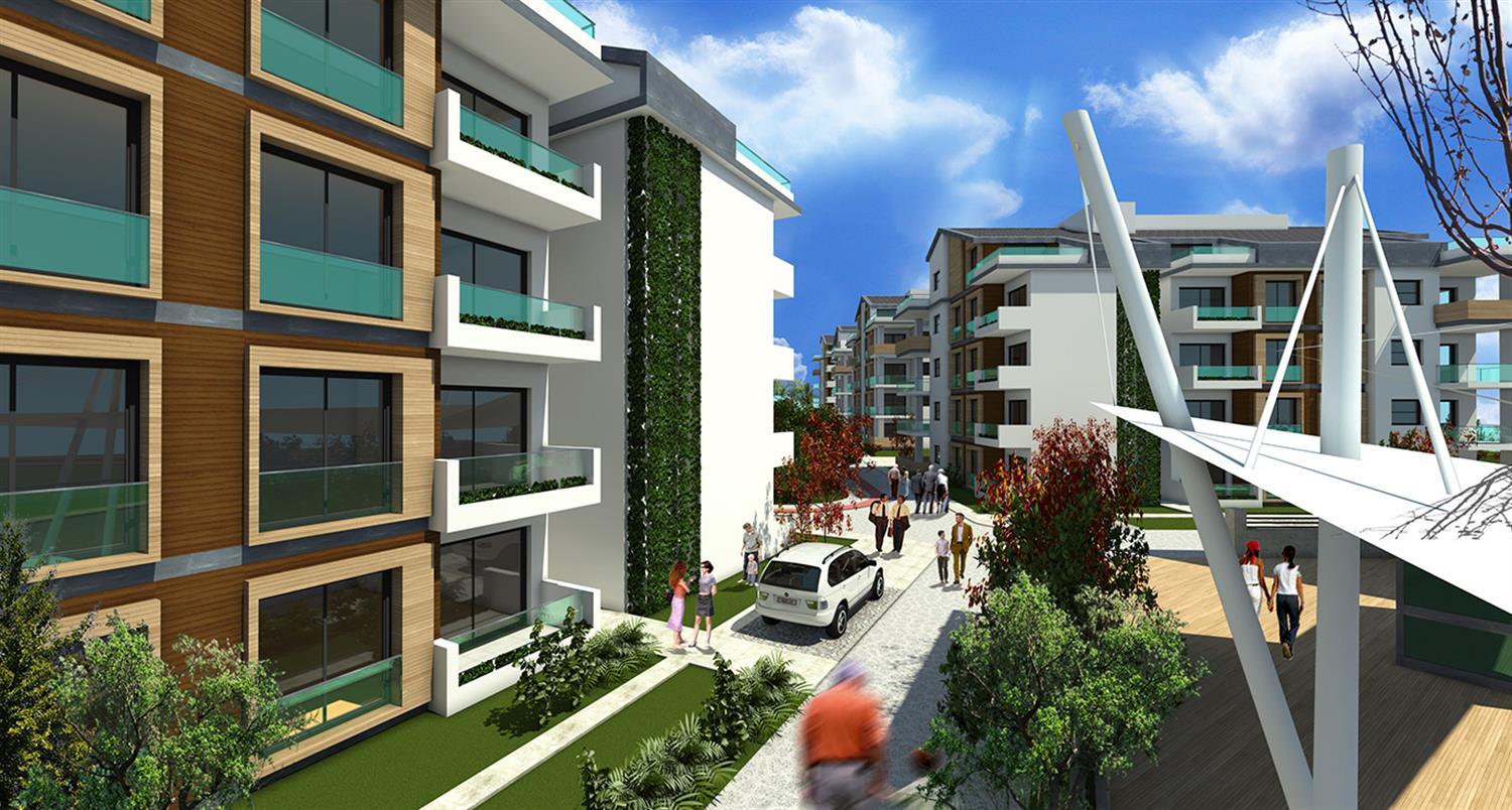 Project image 15
