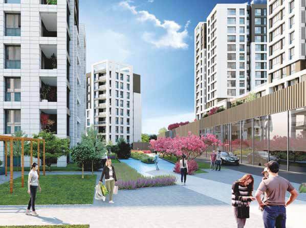 Project image 13